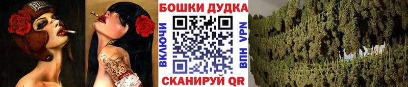 хочу наркоту  блэк спрут   Канабис планчик  Галич 